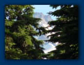 Mount Jefferson
peeking through trees