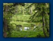 Pond near
Breitenbush Lake