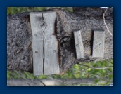 Jefferson Park
trailhead sign