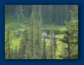 Ponds below Skyline Road