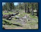 Deadfall Creek
almost dried up