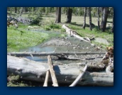 Deadfall creek
running seasonably low