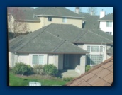 My neighbor's house
before roof treatment