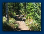 Shellrock Lake trail