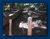 Old markers to retired
Cache Meadow trail