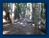 Shellrock Lake trail