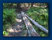 Makeshift bridge across a dry marsh