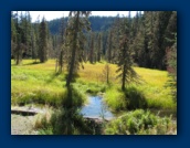 Meadow along
Hideaway Lake trail