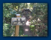 Trailhead alongside the meadow