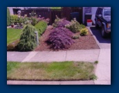 The parking strip grass
needed more watering