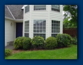 Rhododendrons
and Boxwoods