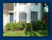 Rhododendrons
and Boxwoods